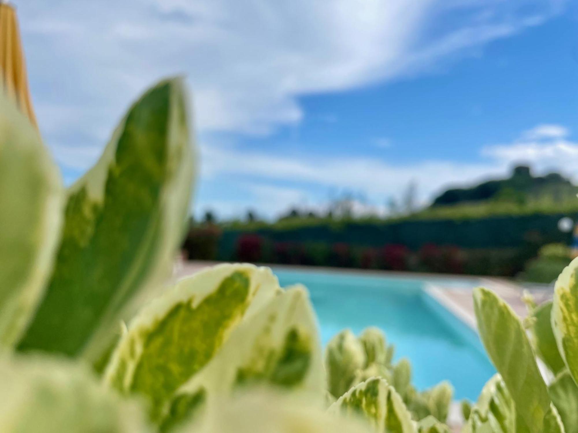 Vigneto - Italian Restaurant & B&B Villa Rosa Di Martinsicuro Экстерьер фото