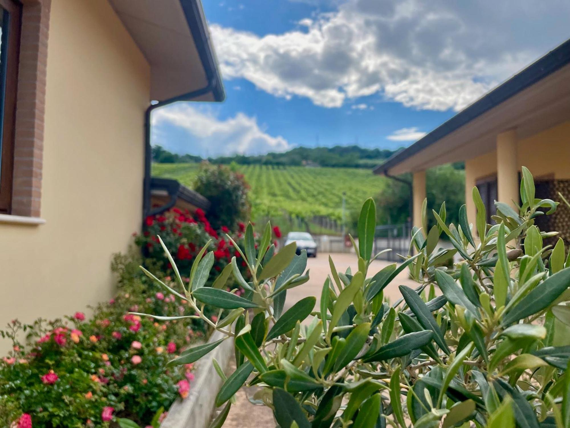 Vigneto - Italian Restaurant & B&B Villa Rosa Di Martinsicuro Экстерьер фото