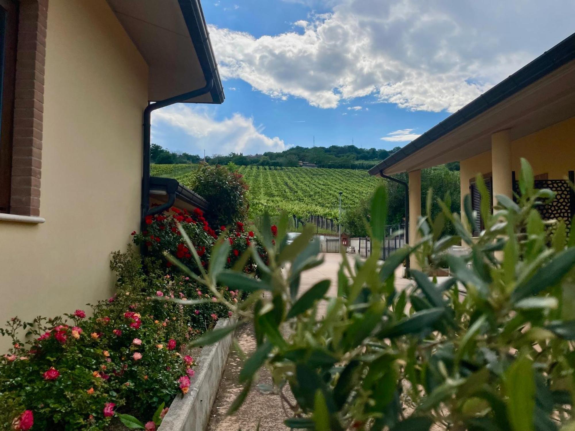 Vigneto - Italian Restaurant & B&B Villa Rosa Di Martinsicuro Экстерьер фото